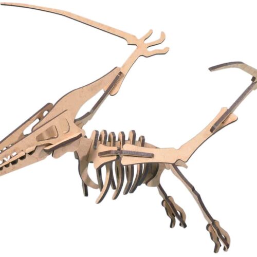 Kit de construcción de madera Pterodáctilo
