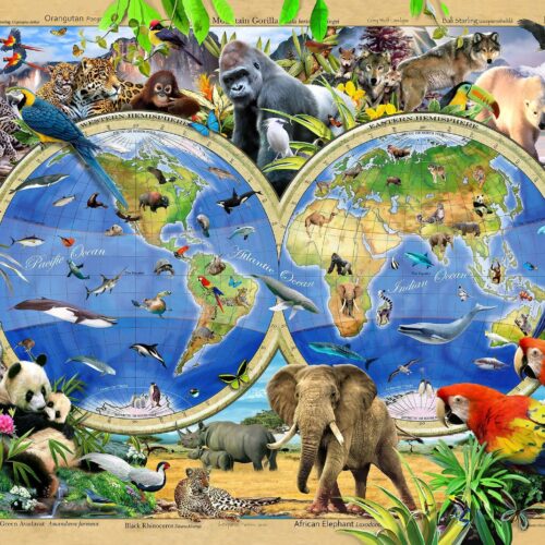 Puzle de 500 piezas: Mapa del reino animal