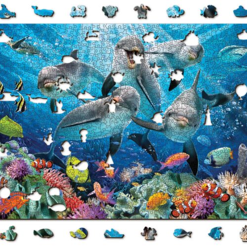 Delfines felices