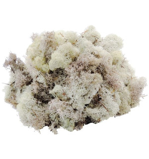 Musgo natural blanco 100gr