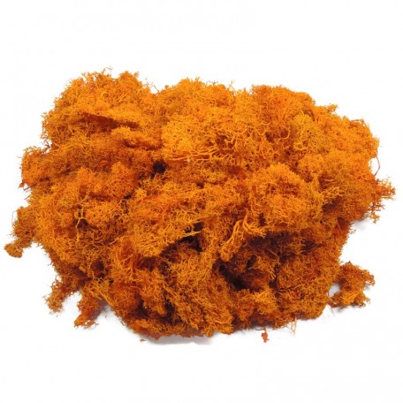 MUSGO NATURAL NARANJA 100 gr