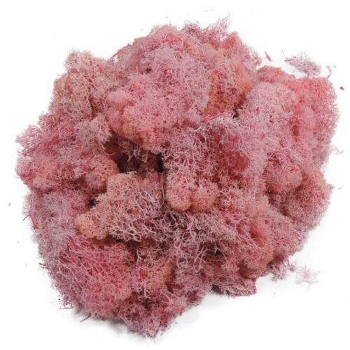 Musgo Rosa 100gr