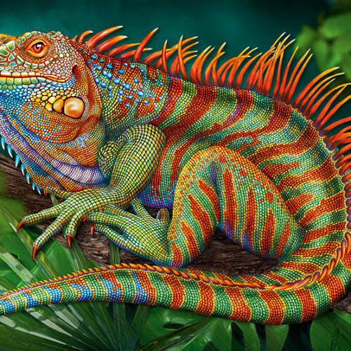 Increible Iguana (500pz)