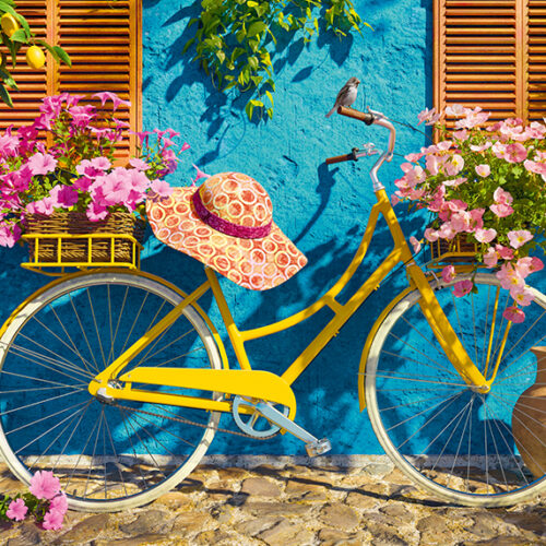 Bicicleta Limón (1000pz)