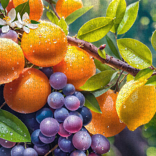 Frutas Soleadas (1000pz)