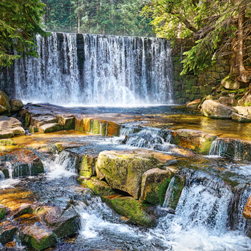Cascada del Bosque (2000pz)