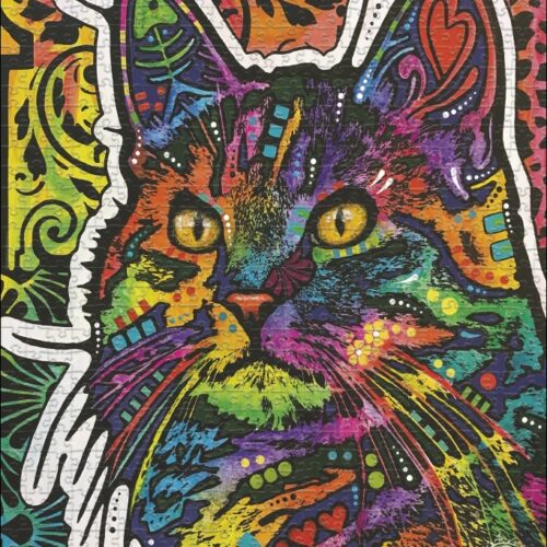 Necessity Cat Heye 29999