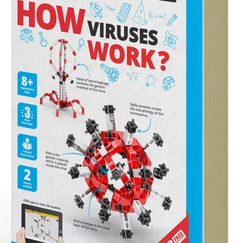 ¿Cómo funcionan los virus?