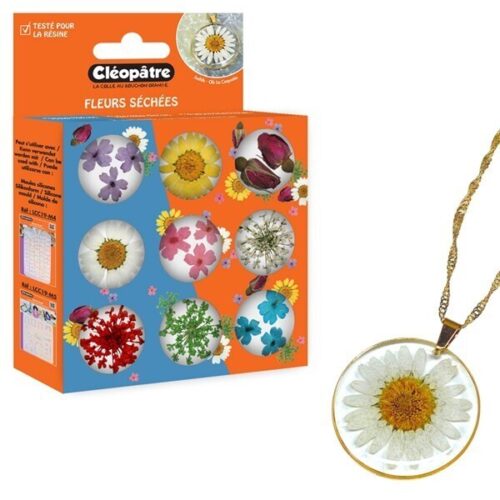 Surtido 9 botes flores secas talla 1-3 cm