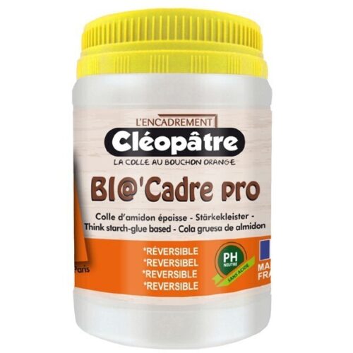Cola para enmarcar Bio'Cadre Pro 250 gr