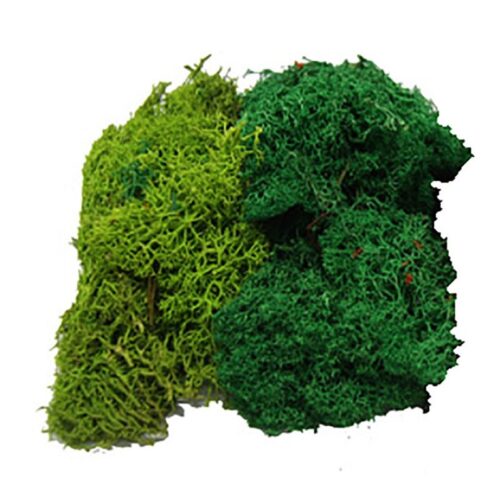 MUSGO NATURAL COLOR VERDE VARIADO 50 gr