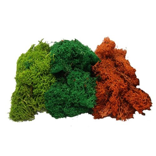 MUSGO NATURAL COLOR VERDE VARIADO / ROJIZO 50 gr